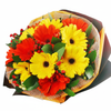 12 Mixed Gerbera Hand Bouquet