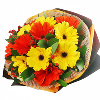 12 Mixed Gerbera Hand Bouquet