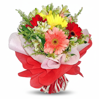 6 Mixed Gerbera Handbouquet