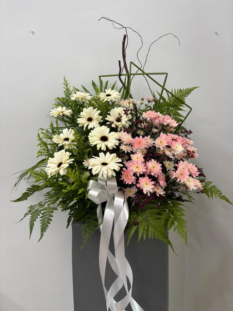 去了一个更好的地方