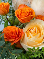 让我们一起BT（香槟色）