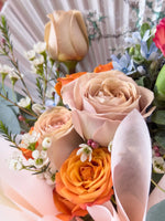 滨海湾繁荣扇（桃桃）