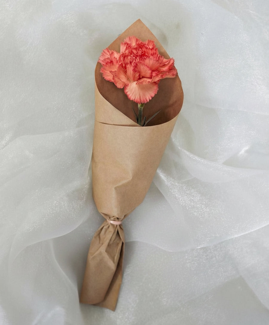 Orange carnation in brown kraft cone wrap