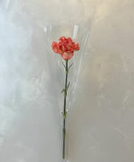Orange carnation in plastic sleeve