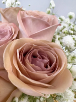 Rosy Raffles (Cappuccino)