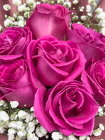 Rosy Raffles (Hot Pink)
