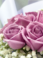 玫瑰莱佛士（紫色）