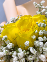 Rosy Raffles (Yellow)