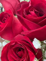 Rosy Raffles (Red)