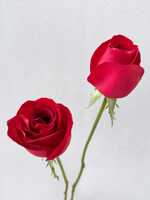 Rosy Raffles (Red)