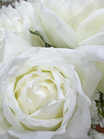 Rosy Raffles (White)