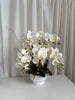 6 Artificial Phalaenopsis Orchid Table Arrangement.