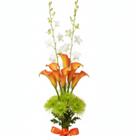 Bugis Blaze by Singapore Florist