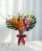 Ang Ablaze Allure