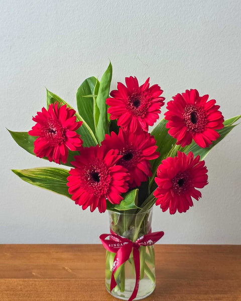 6 Red Gerberas in Glass Vase Table Arrangement