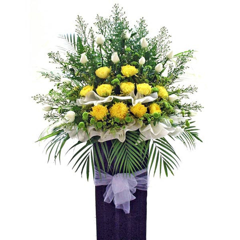 光芒四射的休憩 光芒四射的回忆