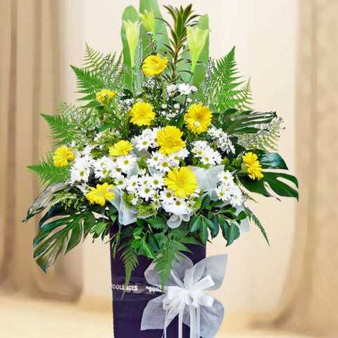 很遗憾你失去了