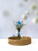 Single Rosy Raffles (Blue)