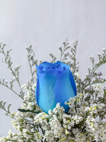 Single Rosy Raffles (Blue)