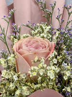 Single Rosy Raffles (Cappuccino)
