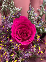 Single Rosy Raffles (Hot Pink)