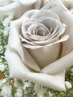 Single Rosy Raffles (Menta)
