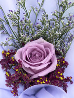 单人玫瑰色莱佛士（紫色）