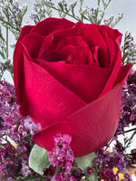 单支玫瑰色莱佛士（红色）