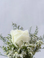 单支玫瑰色莱佛士（白色）