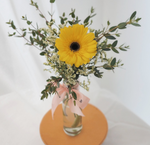 邓普西雏菊黄独奏