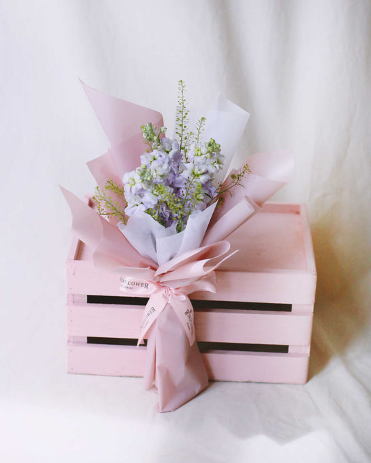 紫丁香紫罗兰三重奏