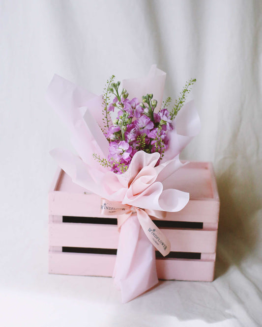 粉红三重奏 Matthiola