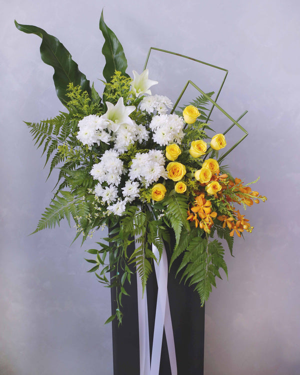 闪耀光芒