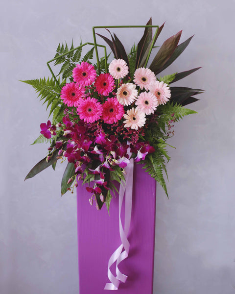 哎呀！恭喜啊！