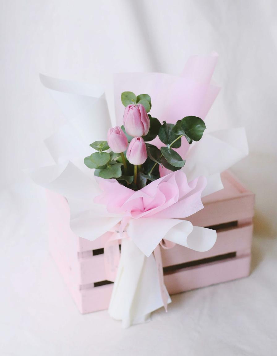 Tulip Pink