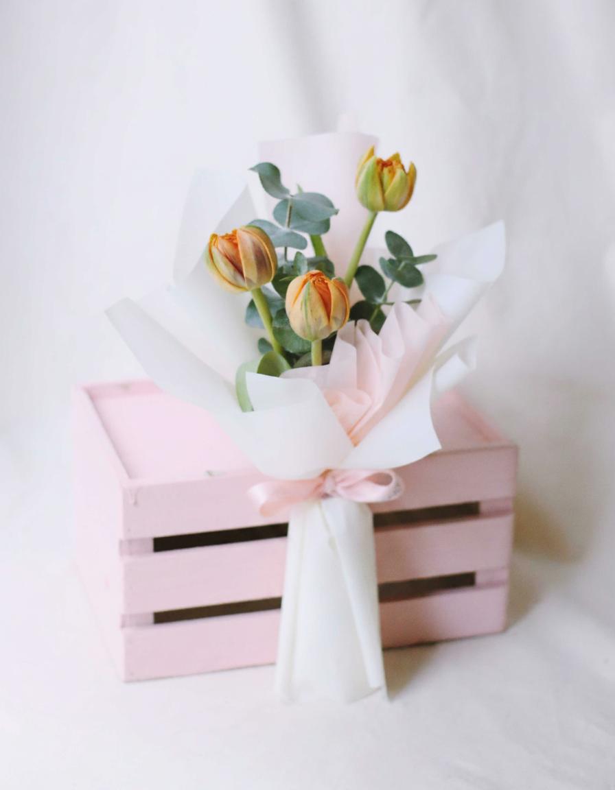 Tulip Orange
