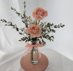 Chio Carnations (Caramel)