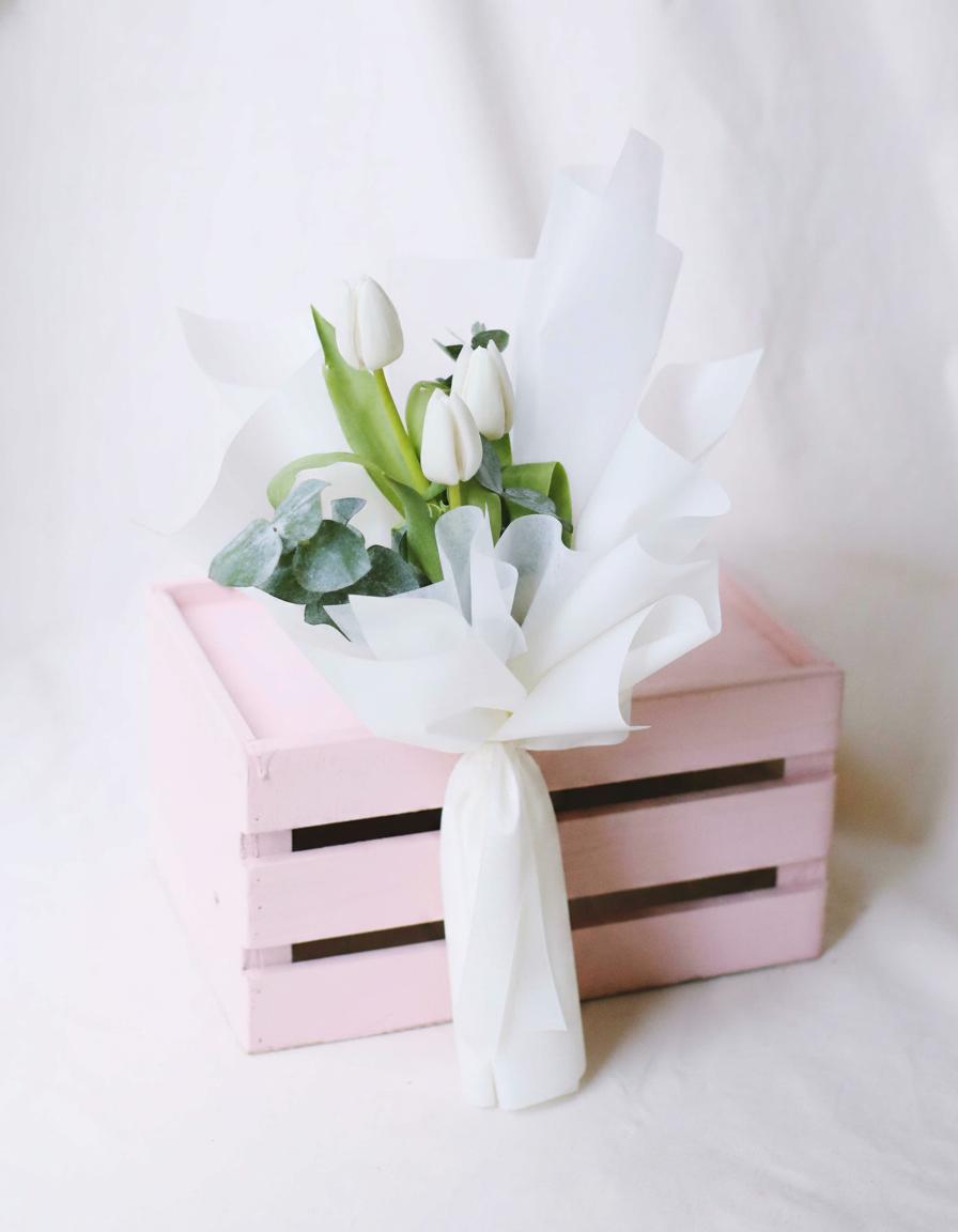 Tulip White