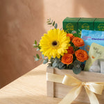 Nicoll Nurturing Nook